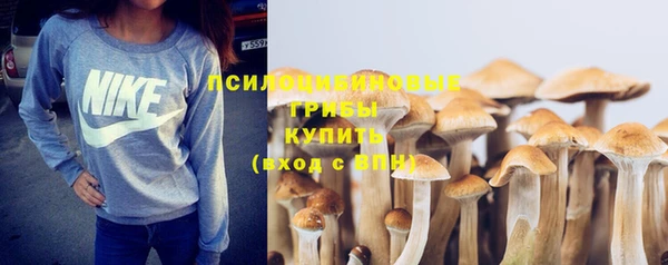 сатива Магадан