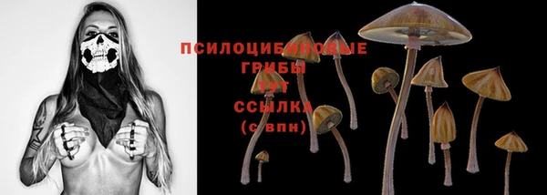 сатива Магадан