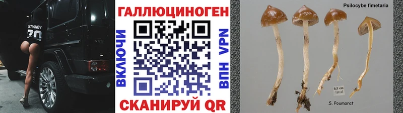 Галлюциногенные грибы Cubensis  OMG зеркало  Собинка 